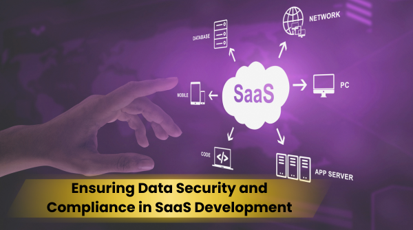 SaaS Development
