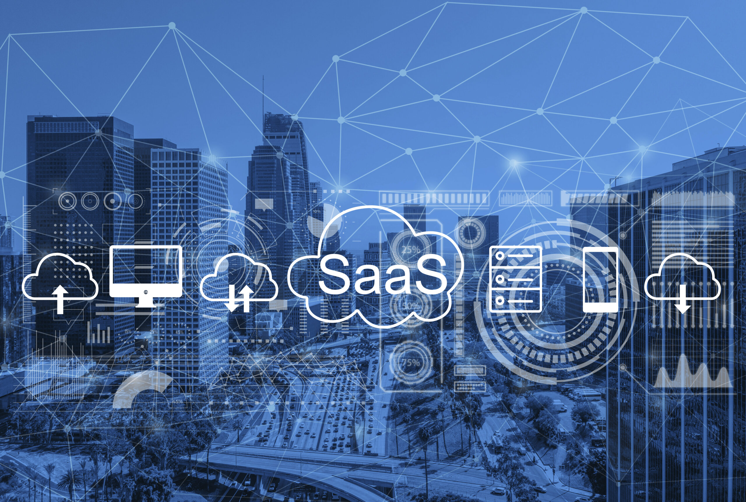 SaaS Landscape